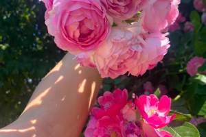IMG-20260702-WA0009